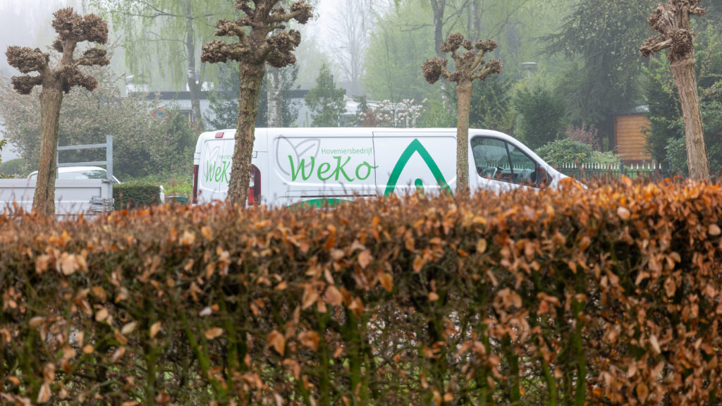 Tuin aanplanten hoveniersbedrijf WEKO