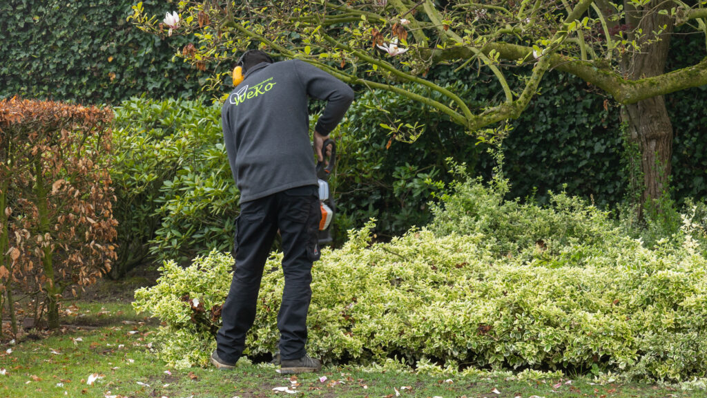 Tuinonderhoud door Hoveniersbedrijf WEKO